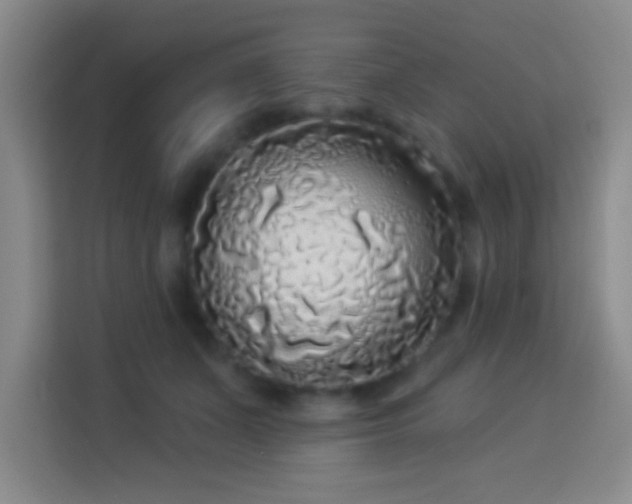 X0000113960511200910021528