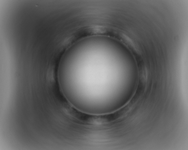 X0000113960512200910021528