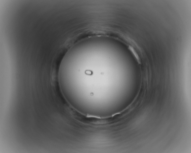 X0000113960513200910021528