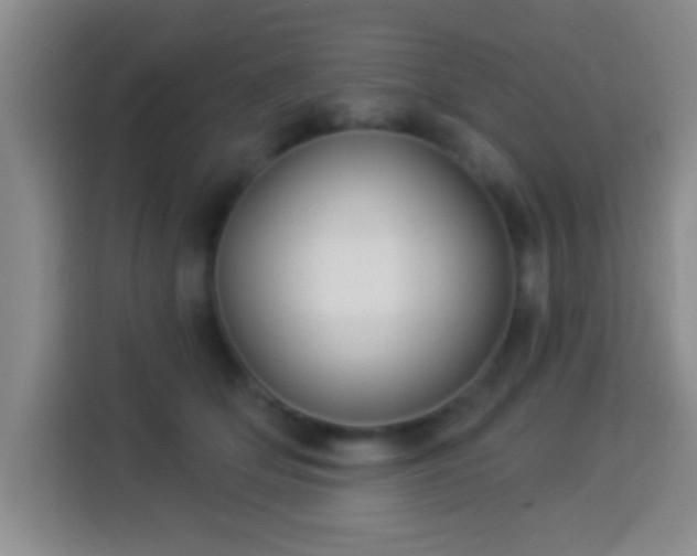 X0000113960514200910021528