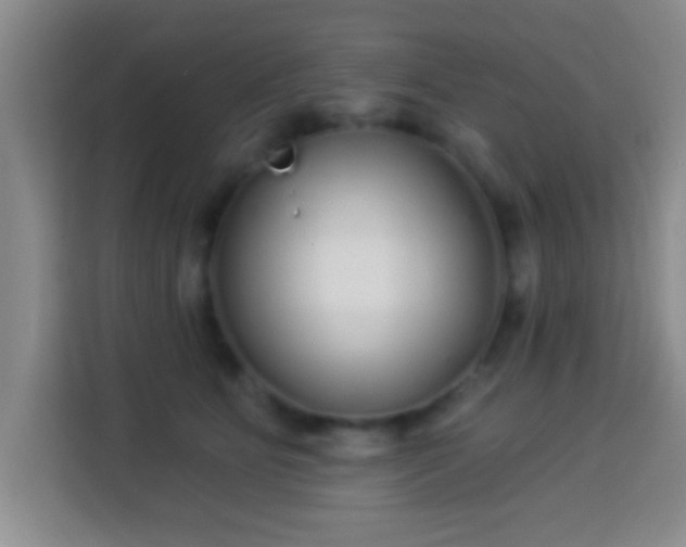 X0000113960515200910021528