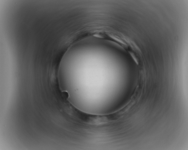 X0000113960517200910021528