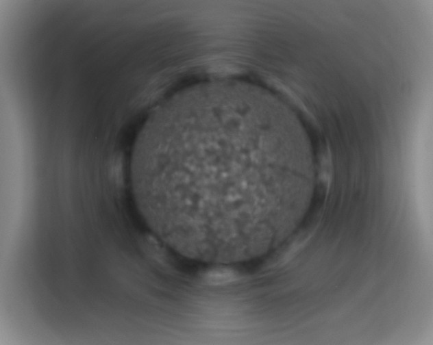 X0000113960519200910021528