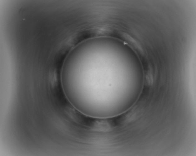 X0000113960520200910021528