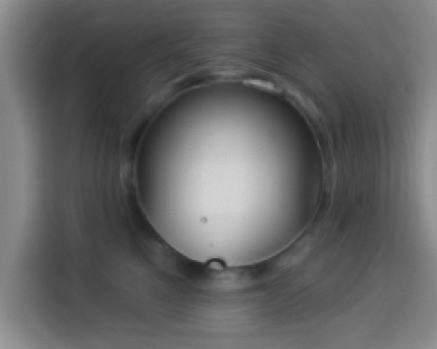 X0000113960521200910021528