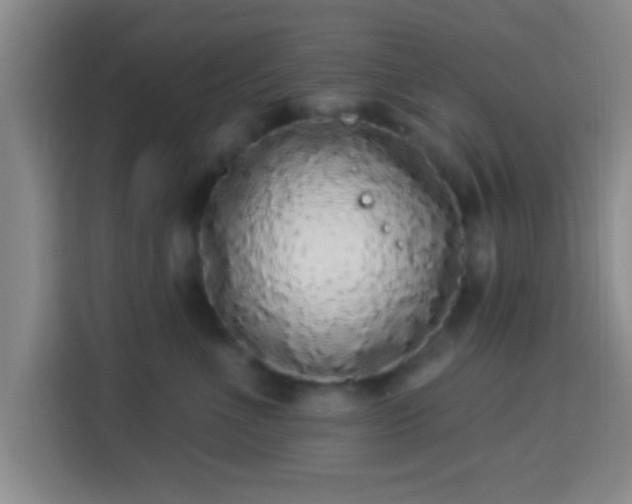 X0000113960523200910021528