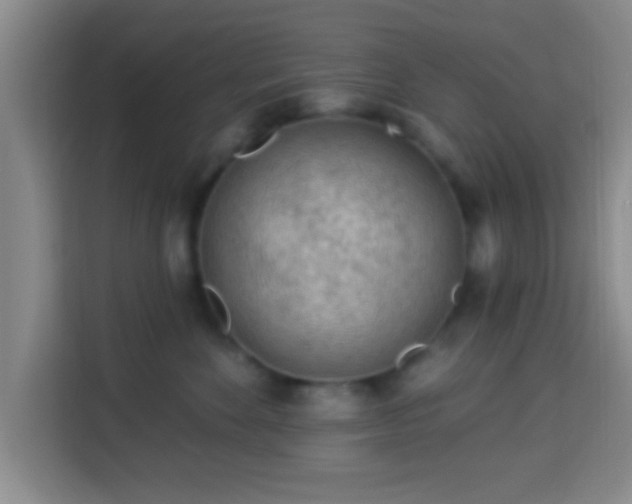 X0000113960524200910021528