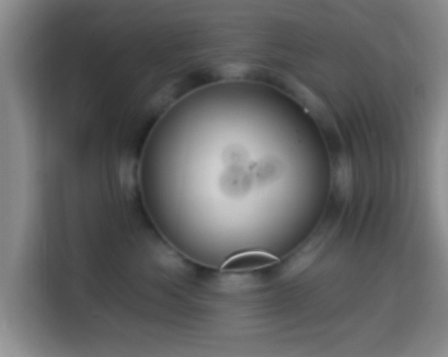 X0000113960525200910021528