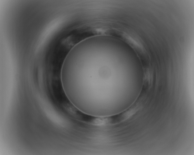 X0000113960526200910021528