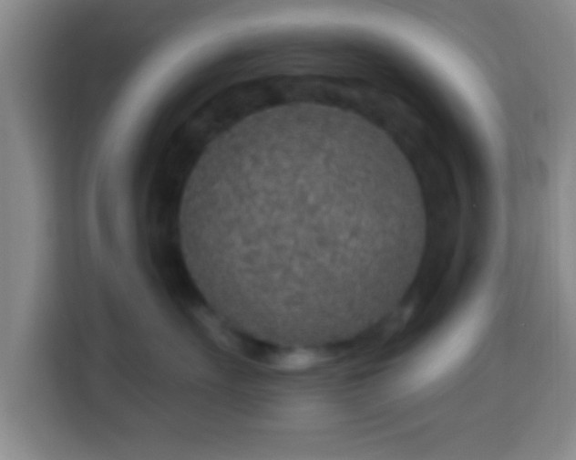 X0000113960527200910021528