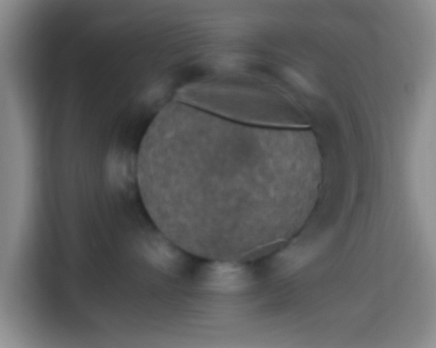 X0000113960528200910021528