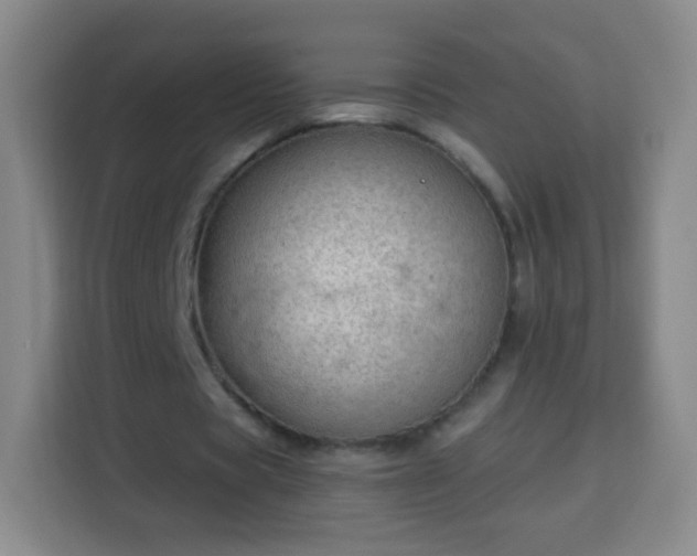 X0000113960529200910021527