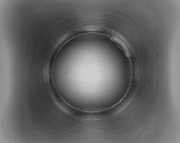 X0000113960530200910021527