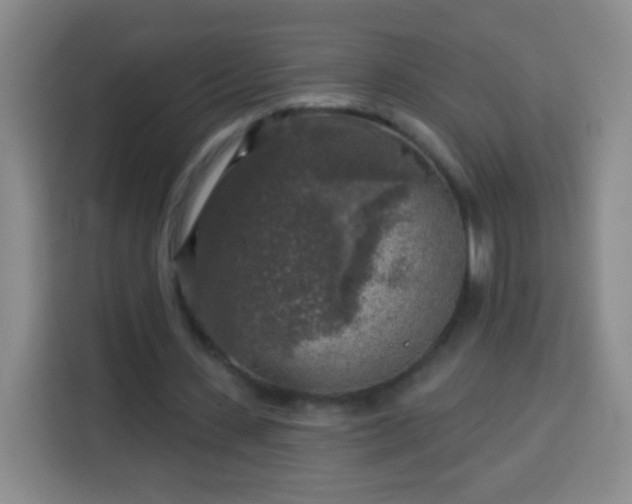 X0000113960531200910021527