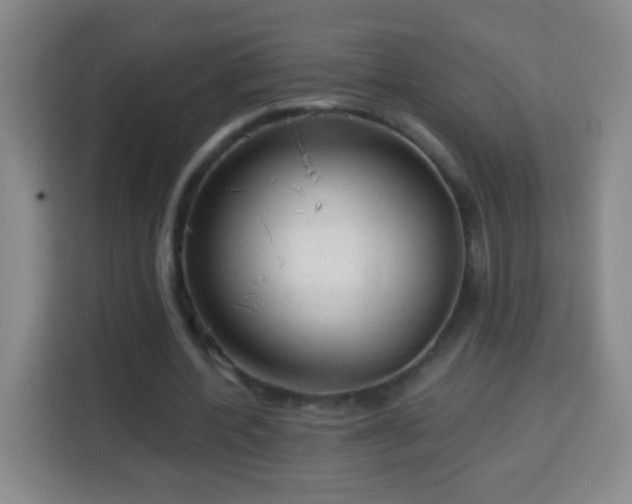 X0000113960532200910021527