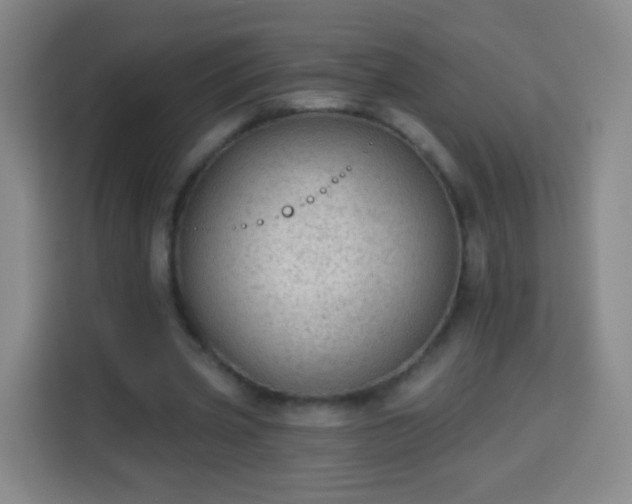 X0000113960533200910021527