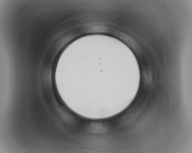 X0000113960534200910021527