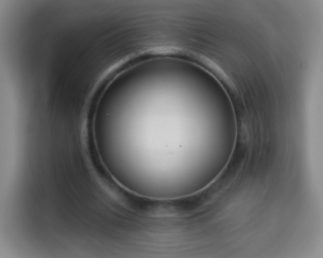 X0000113960535200910021527