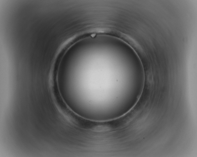 X0000113960536200910021528