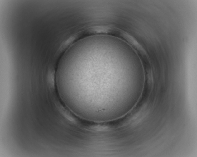 X0000113960537200910021528