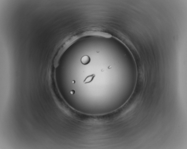 X0000113960538200910021528