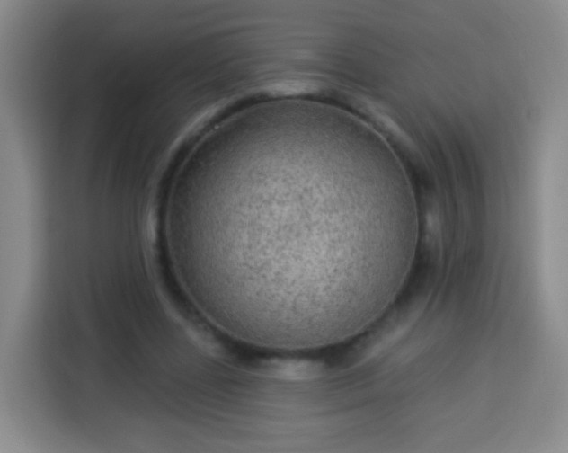 X0000113960539200910021528