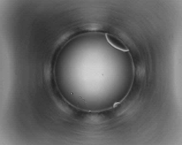 X0000113960540200910021528