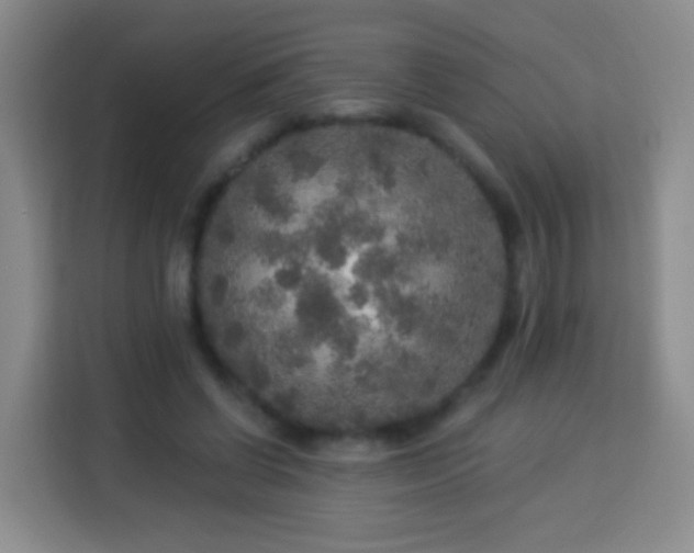 X0000113960542200910021528