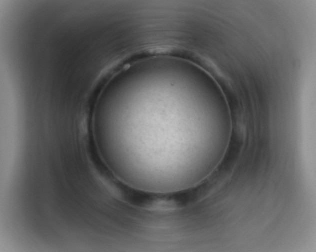 X0000113960543200910021528