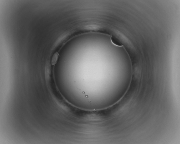 X0000113960544200910021528