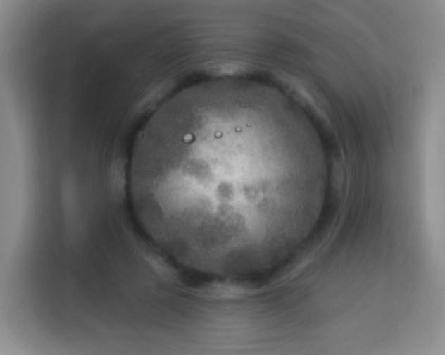 X0000113960545200910021528