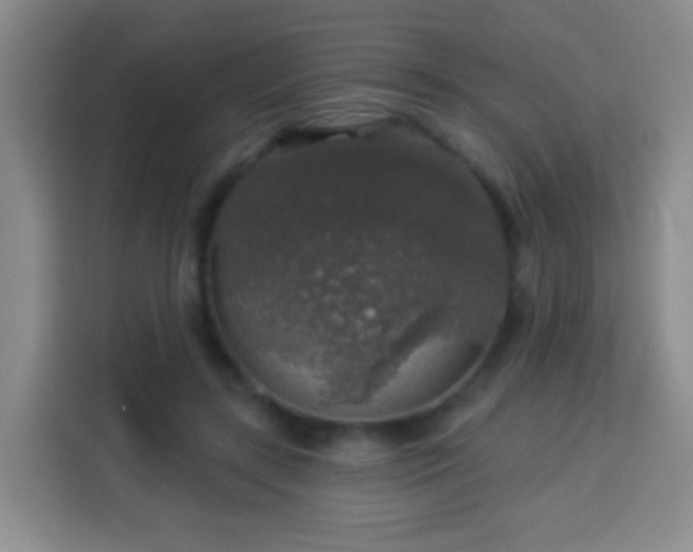 X0000113960547200910021528