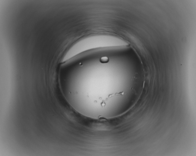 X0000113960548200910021528