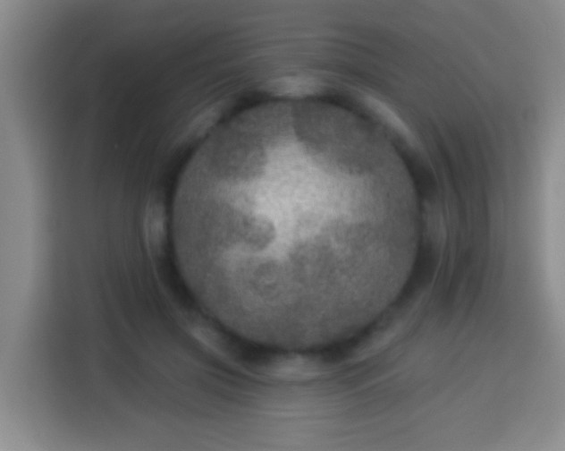 X0000113960549200910021528