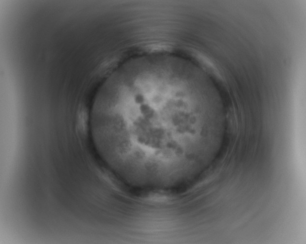 X0000113960550200910021528