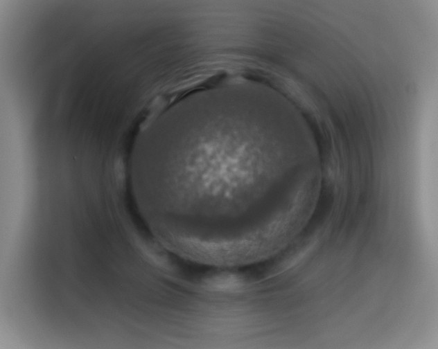 X0000113960551200910021528