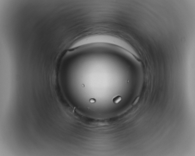 X0000113960552200910021528