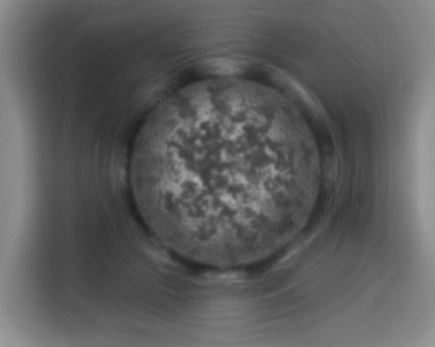 X0000113960553200910021528