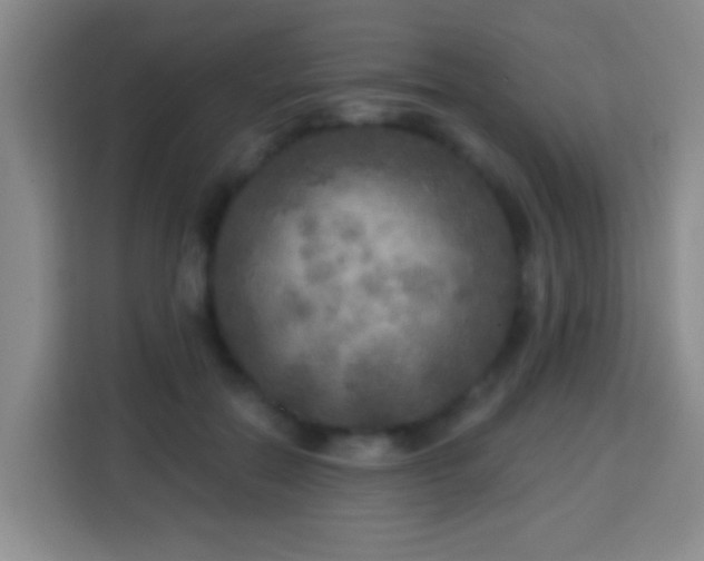 X0000113960554200910021528