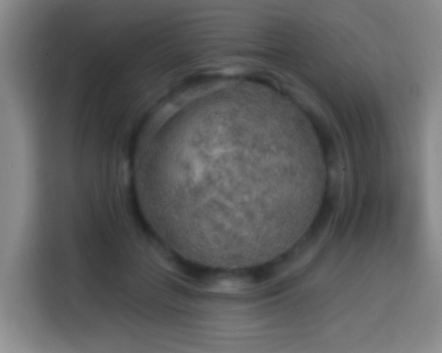 X0000113960555200910021528