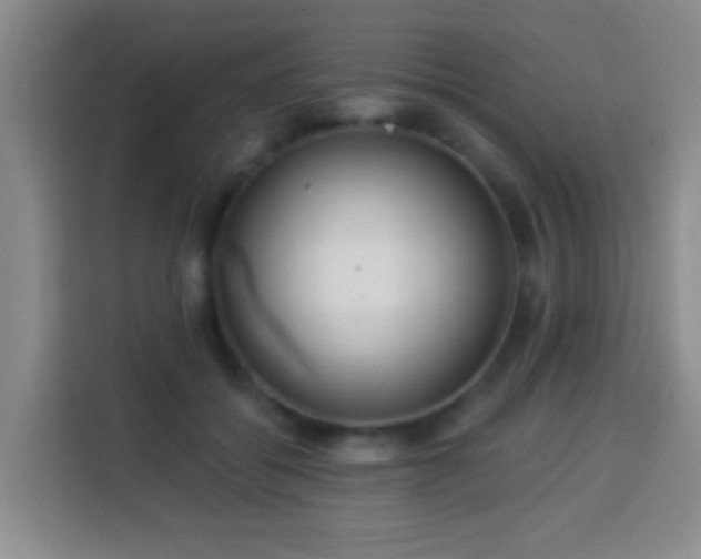 X0000113960556200910021528