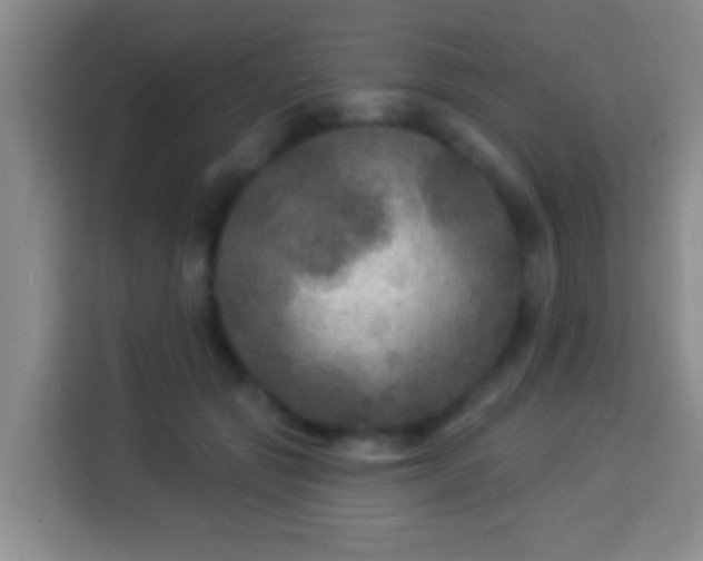 X0000113960557200910021528