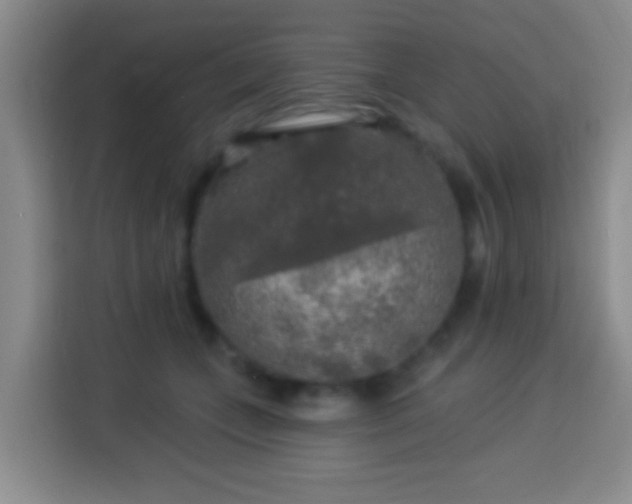 X0000113960559200910021528