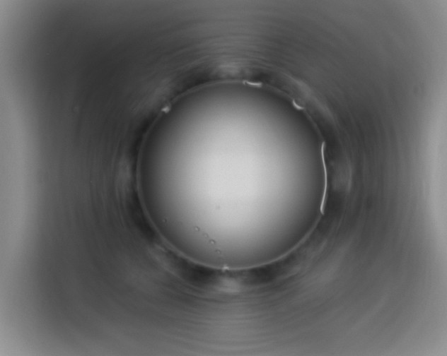 X0000113960560200910021528