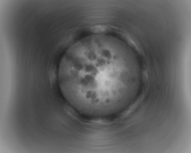 X0000113960561200910021528