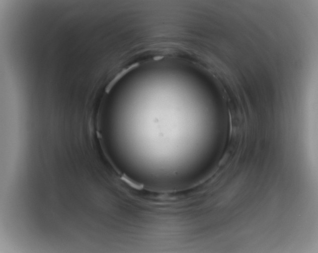 X0000113960562200910021528