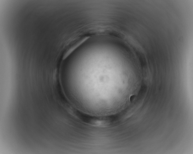 X0000113960563200910021528