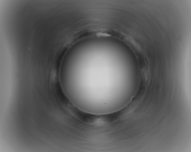 X0000113960564200910021528