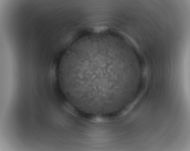 X0000113960565200910021528