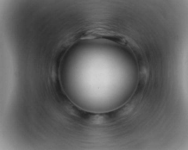 X0000113960566200910021528